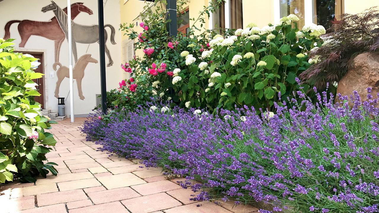 Alte Post Apartment Бад Грисбах Екстериор снимка